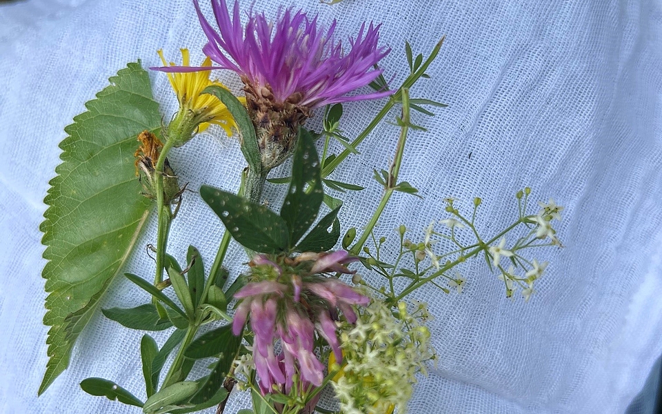 Wir besuchen Bauernhöfe, Gärtnereien und grüne Ecken der Stadt. Dabei erfahren wir, wo Pflanzen wachsen, Tiere leben und wie sich Natur mitten in der Stadt entdecken lässt. Ein spannendes Abenteuer für kleine Entdecker!
